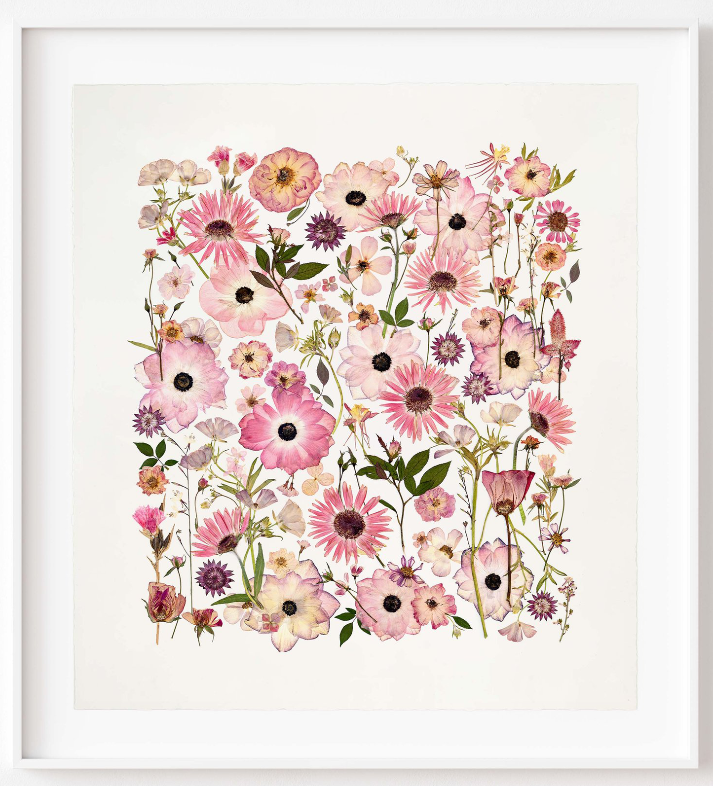 FOREVER PINK, Framed by Tricia Paoluccio