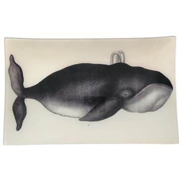 Whale 10 x 16