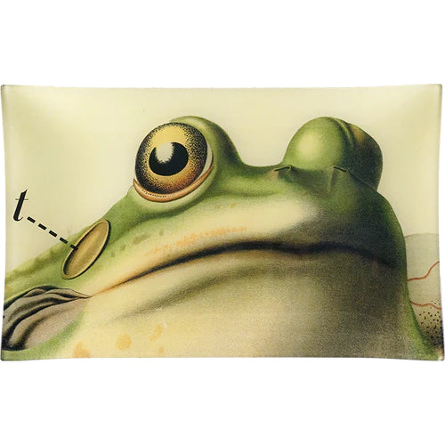 John Derian | Frog Close-Up 10x16 Tray