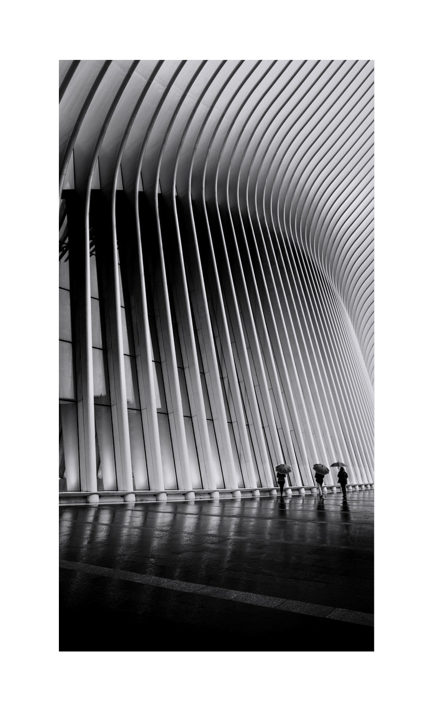 Oculus Rain, Framed by Robert Wakeland