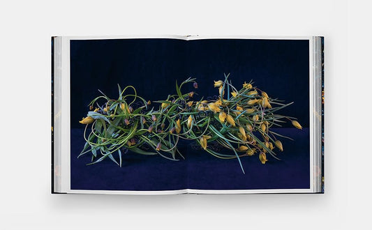 Emily Thompson Flowers