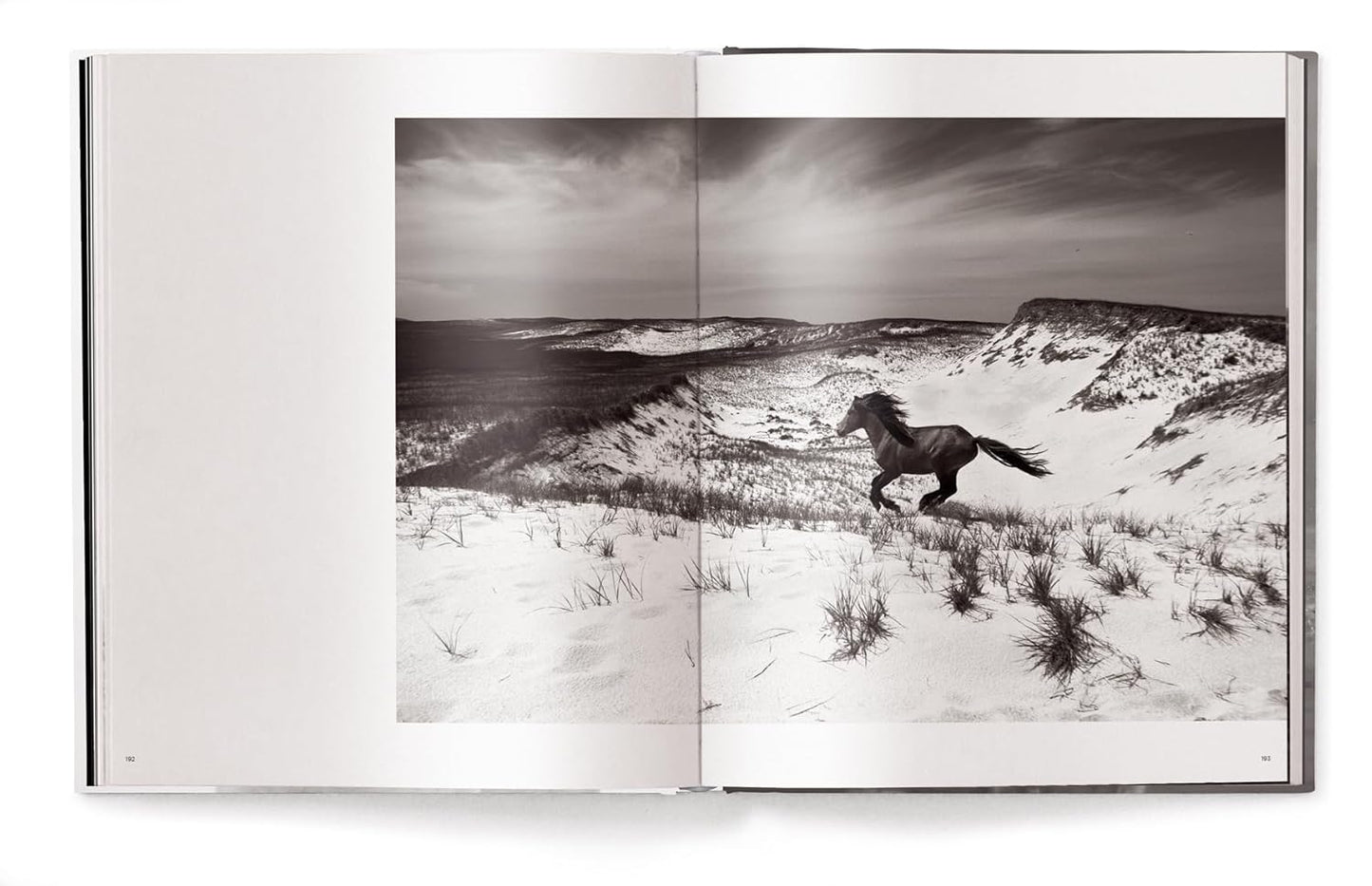 Untamed Spirits: Horses From Around the World