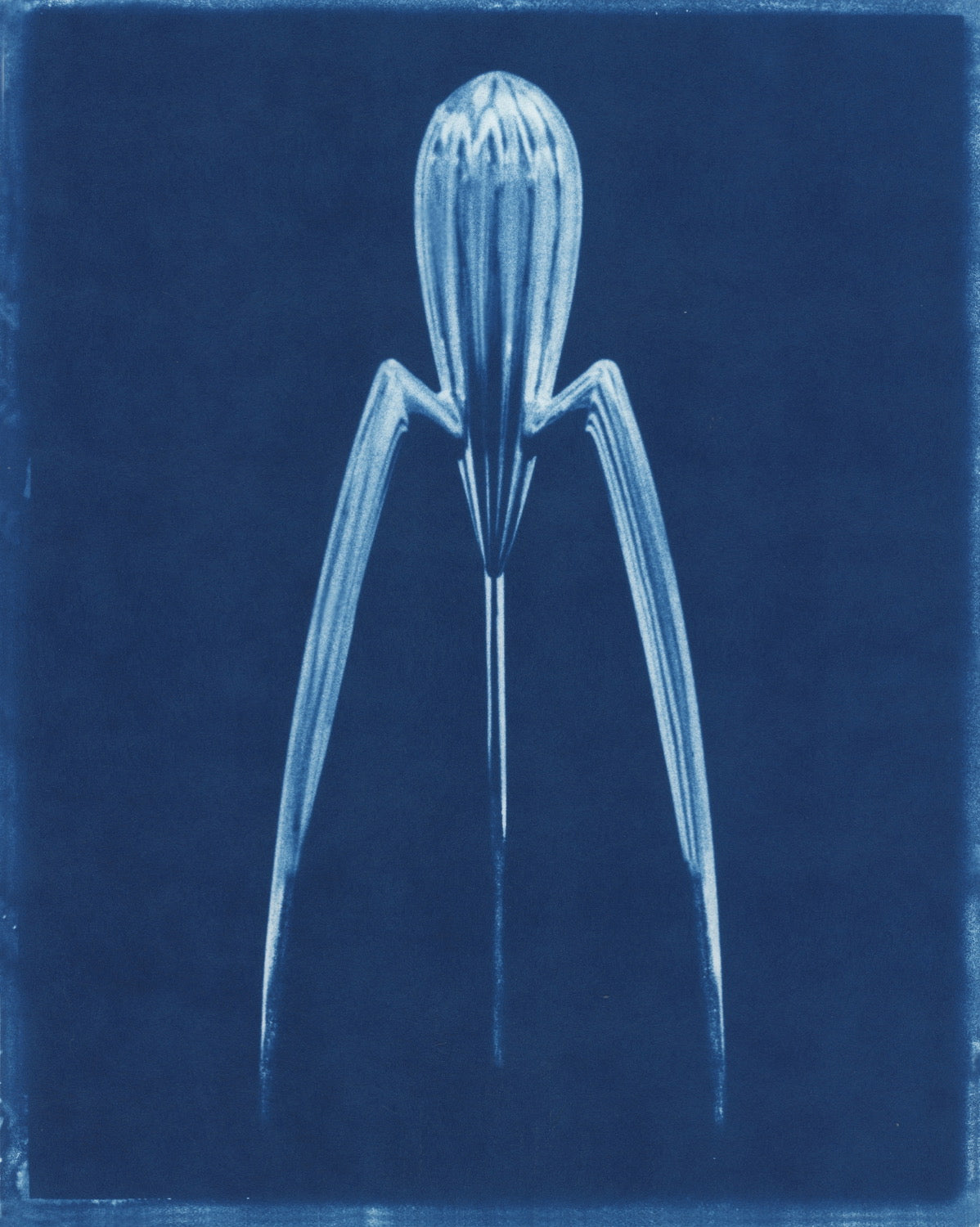 Alien Reamer, Framed by David Sokosh