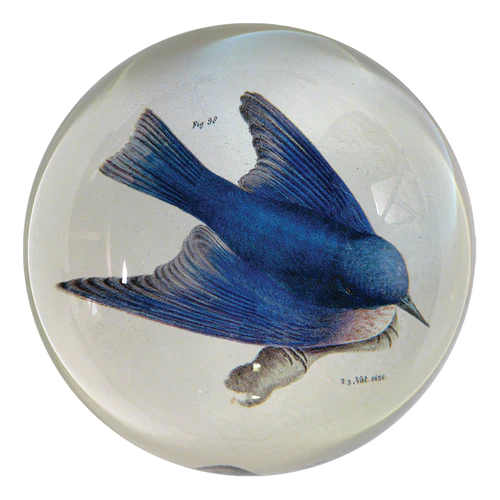 Pudgy Bluebird Dome Paperweight