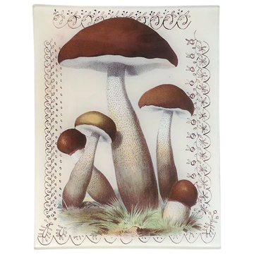 Mushroom with Lace 8 x 10.5