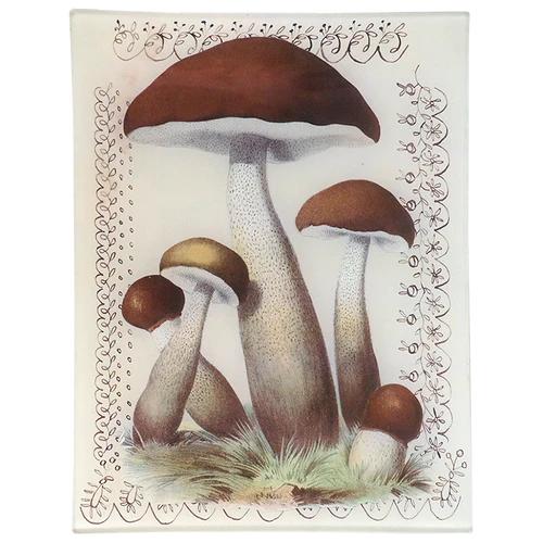 Mushroom with Lace 8 x 10.5