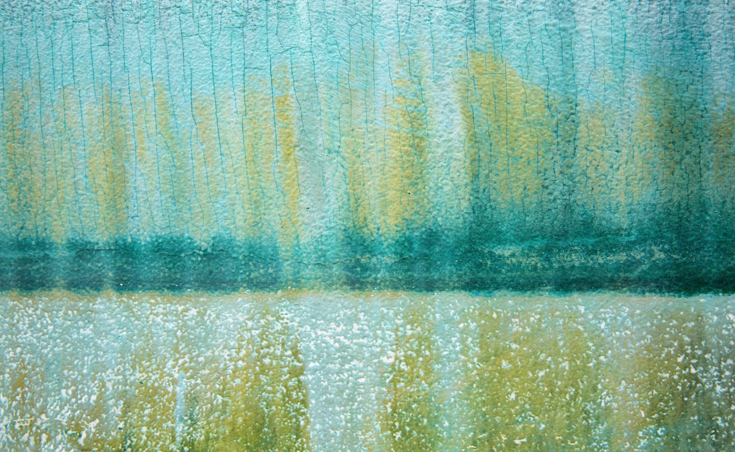 Field of Daisies by Scott Farrell