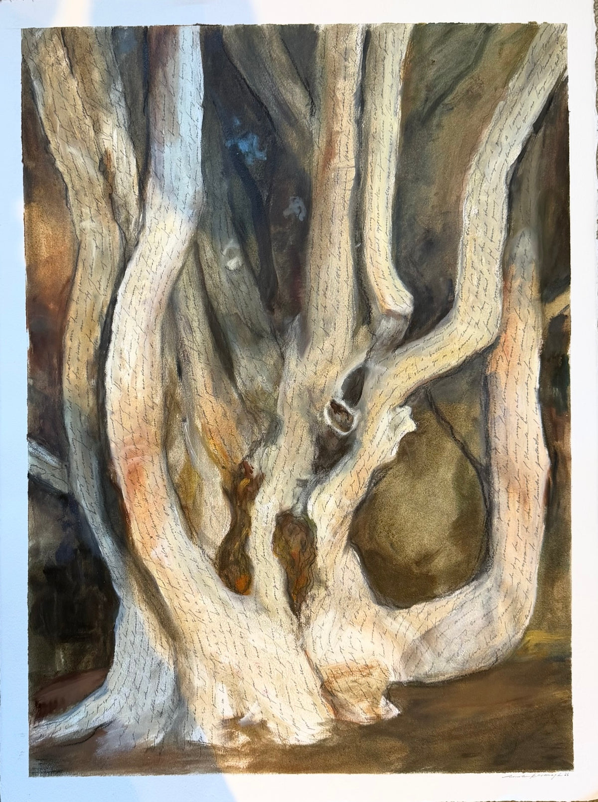 Tree by Amanda Kavanagh