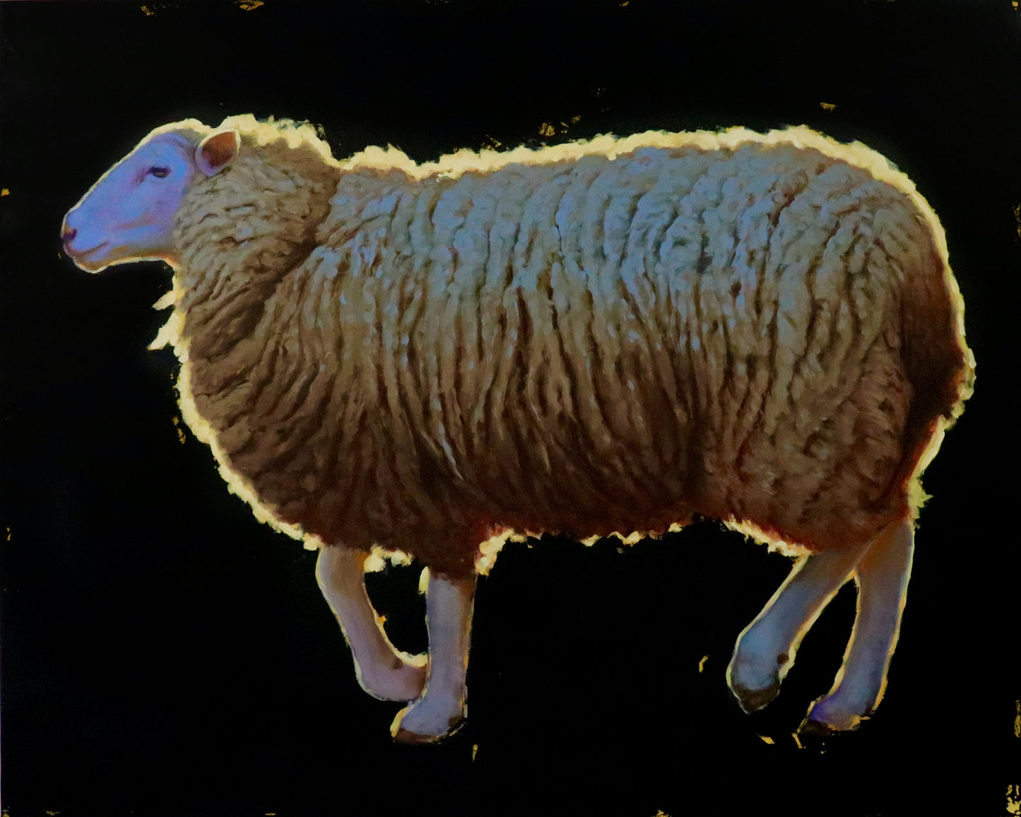 Sunset Sheep Glow Halo by Nicolas V. Sanchez