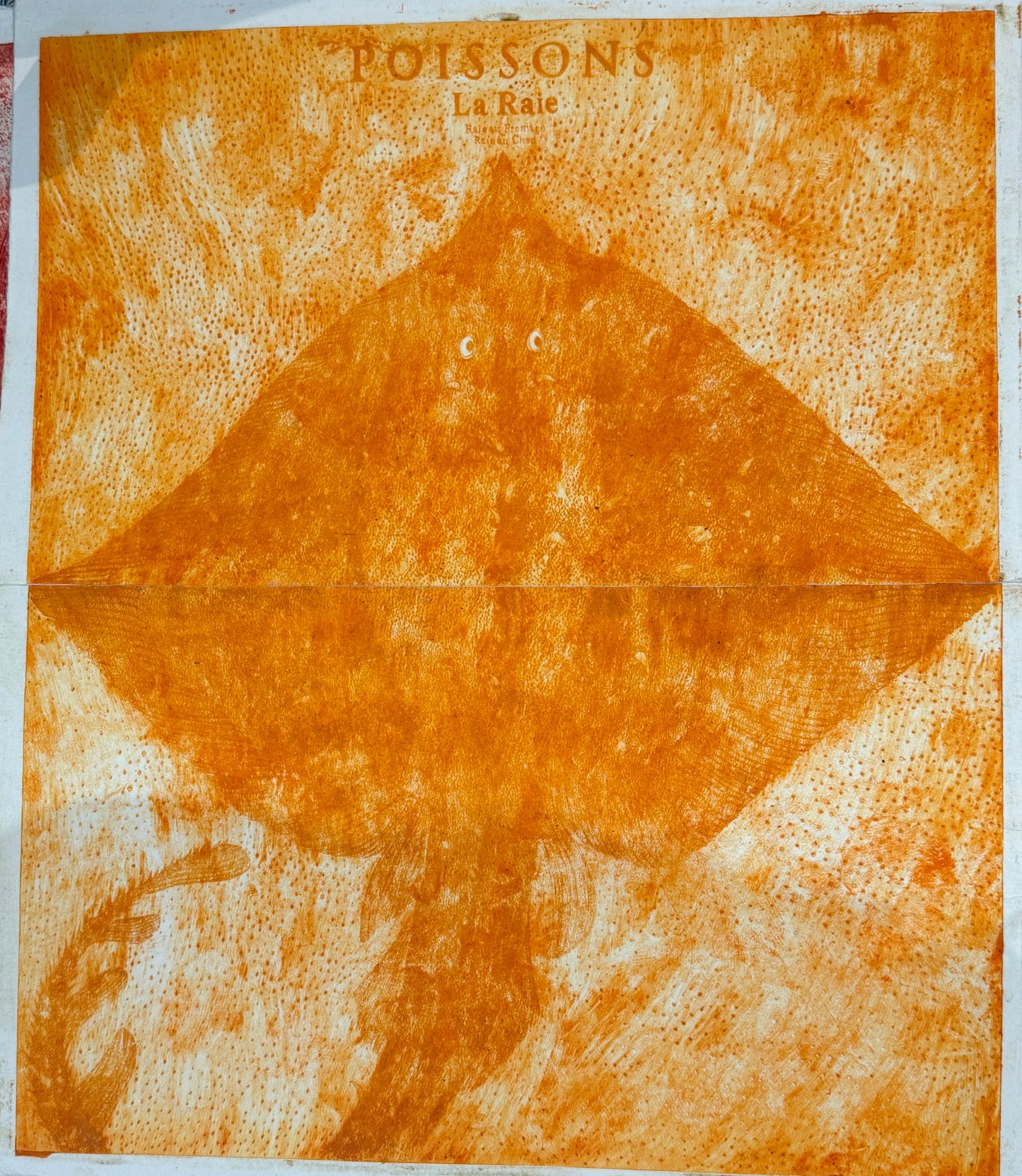 Poissons La Raie by Mitsushige Nishiwaki