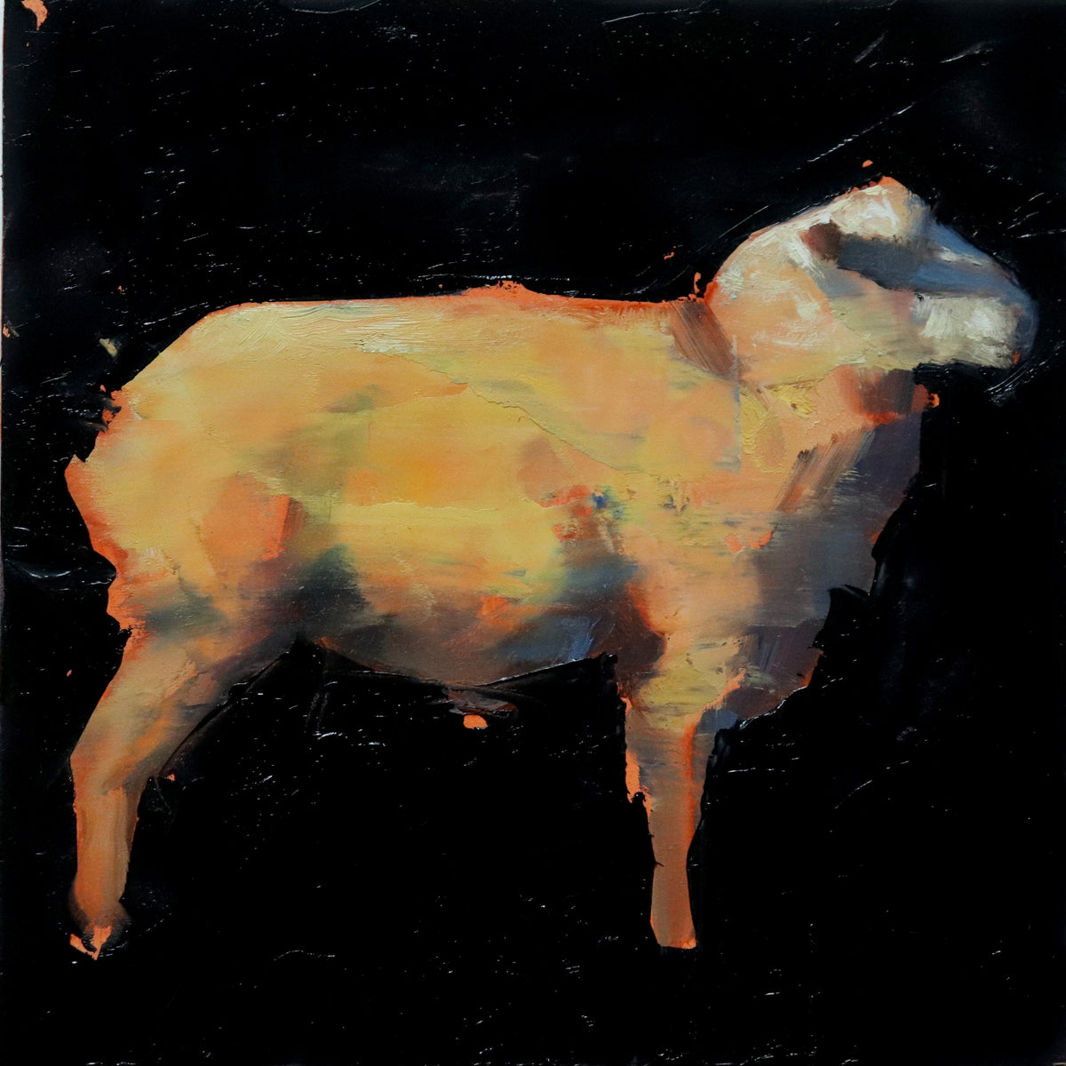 Sheep series #28 by Nicolas V. Sanchez
