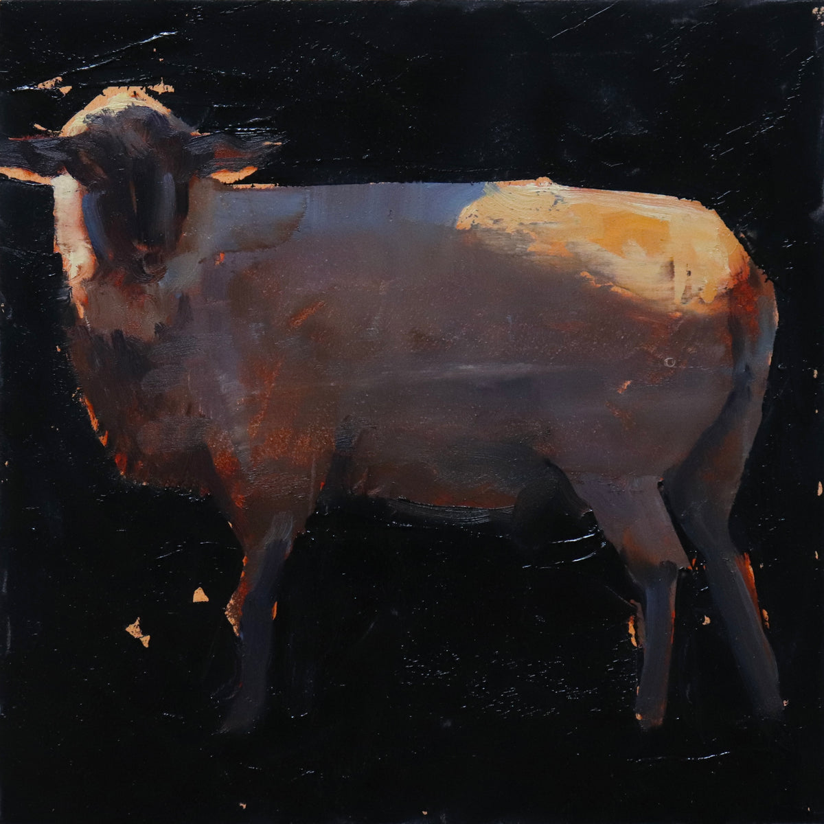 Sheep series #29 by Nicolas V. Sanchez