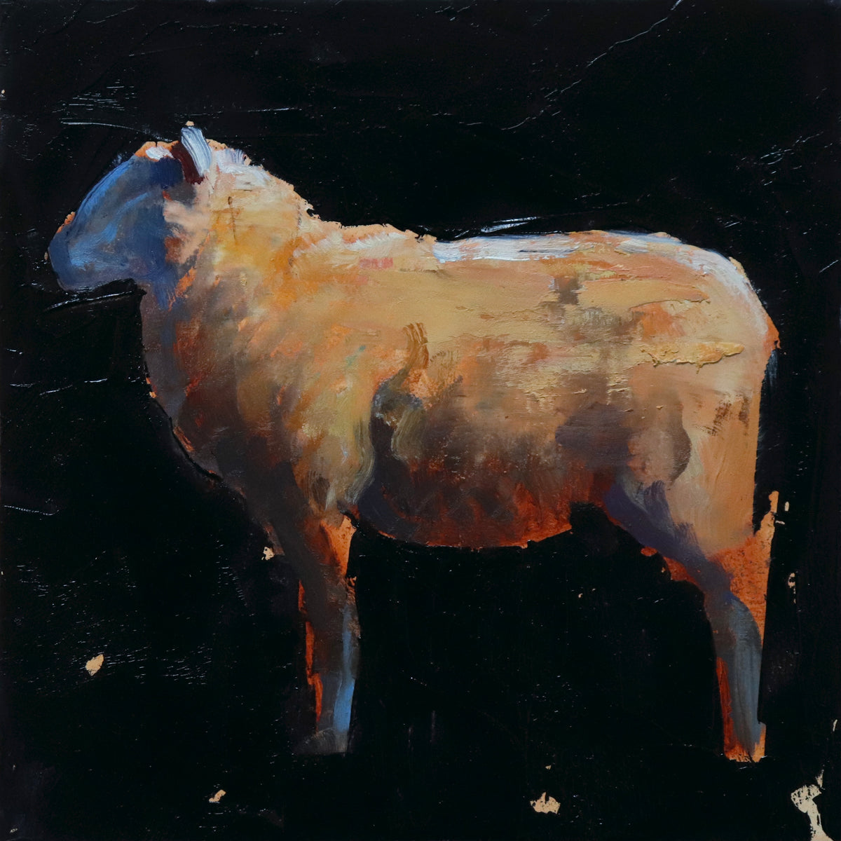 Sheep series #30 by Nicolas V. Sanchez