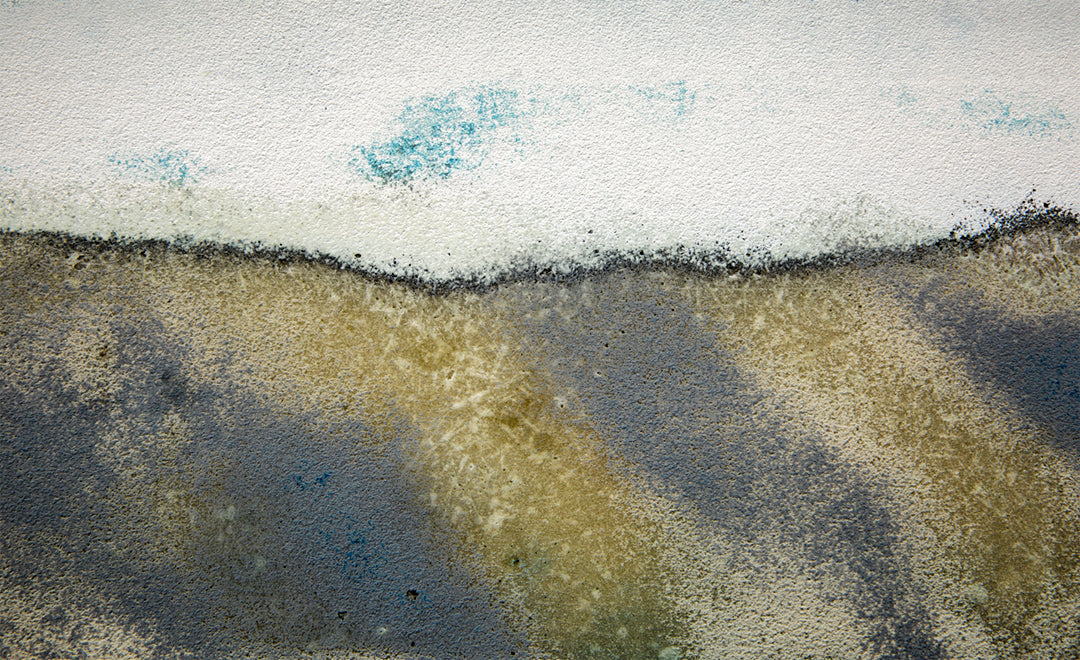 Montauk Bluff's Impression II by Scott Farrell