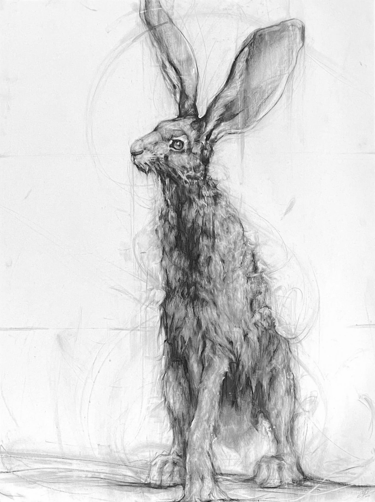 Jackrabbit #2 Print by Madeline Owen