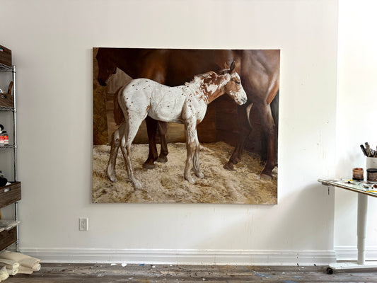 Apaloosa with Mother by Nicolas V. Sanchez