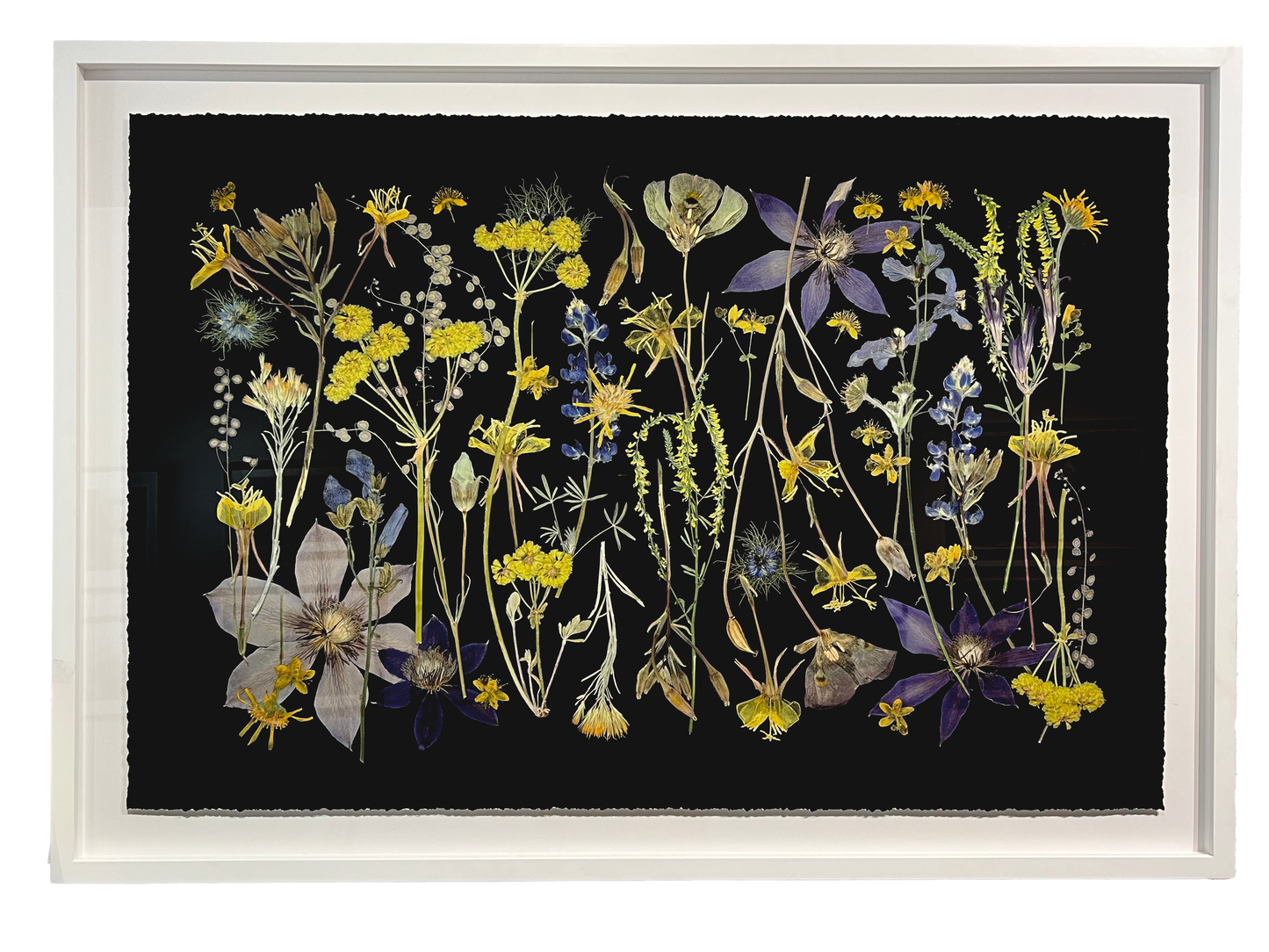 NIGHT MEADOW, Framed by Tricia Paoluccio