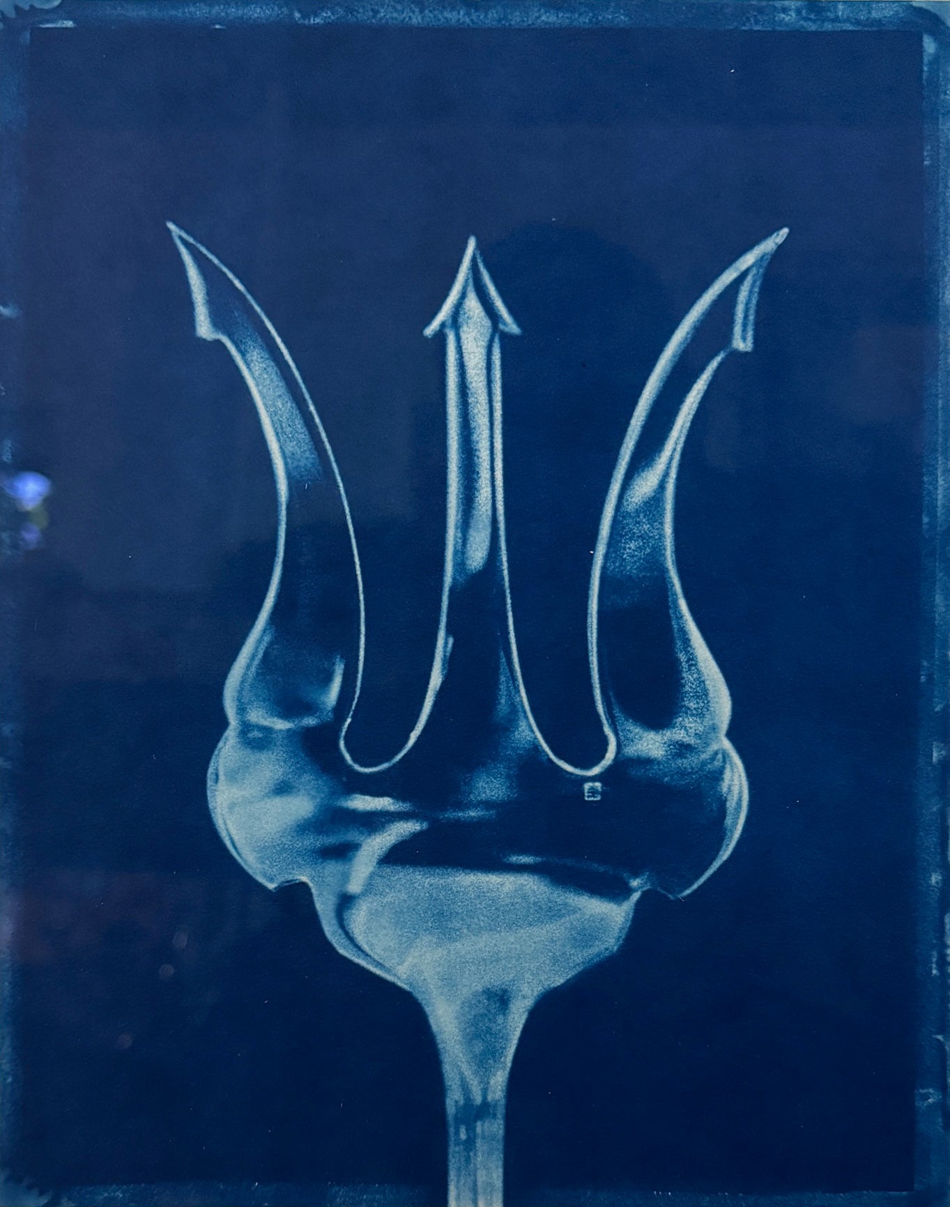 Trident, Framed by David Sokosh