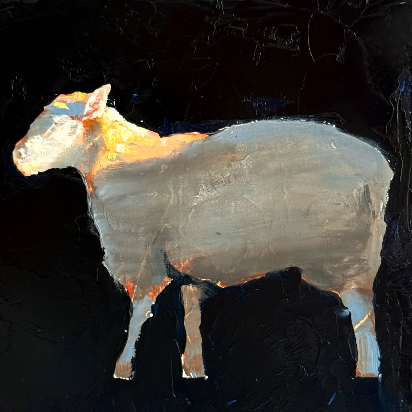 Sheep Series #1 by Nicolas V. Sanchez
