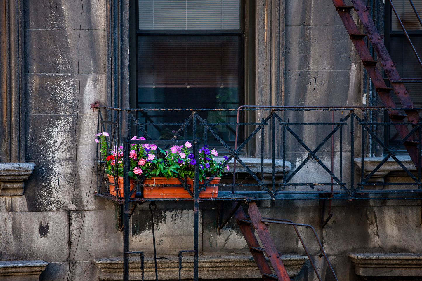 Satori III for "Interpretations" by Robbii Wessen