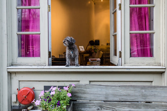 No. 6 for "Interpretations" by Rachel Lee