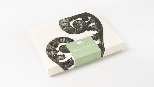 PEPIN PRESS| Correspondence Set Assorted