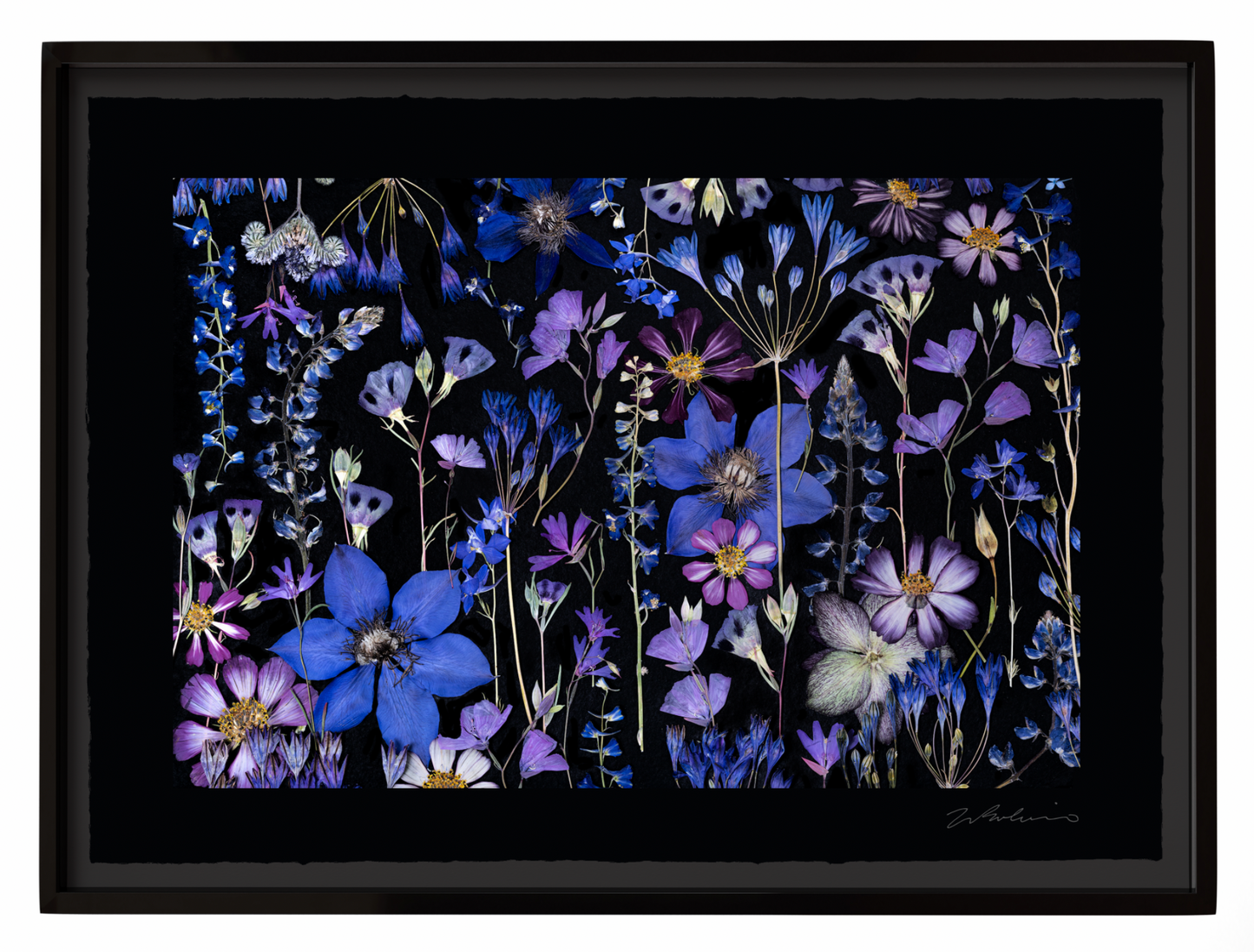 SAPPHIRE SKY, Framed by Tricia Paoluccio
