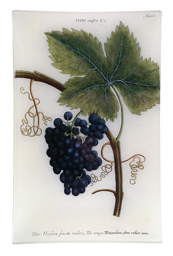 Red Grapes Wall Tray 9 x 14