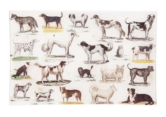 John Derian | Dog Run 9x14 Letter Tray