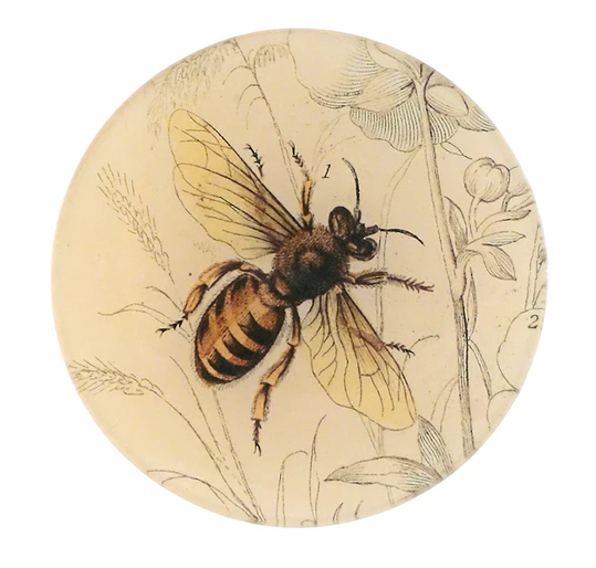 John Derian | Honey Bee - 5 1/4" Round Plate