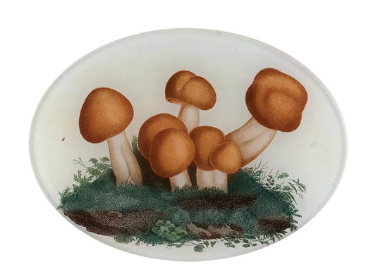 John Derian | Mushrooms Fig. 4 - 5 x 7" Oval Plate