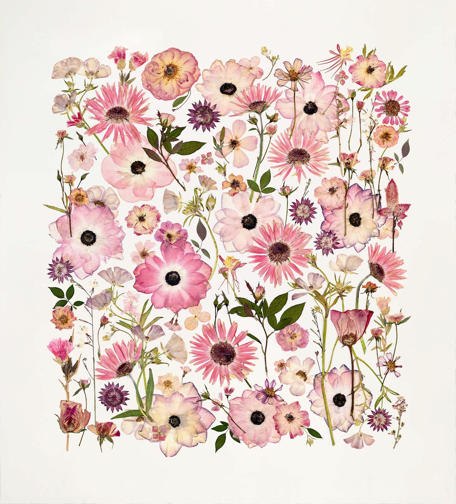 FOREVER PINK, Framed by Tricia Paoluccio