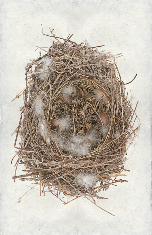 Feathered Nest