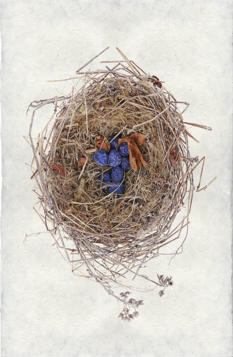 Blue Berry Nest