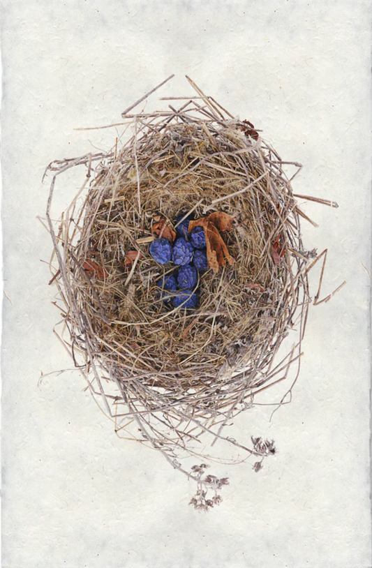 Blue Berry Nest
