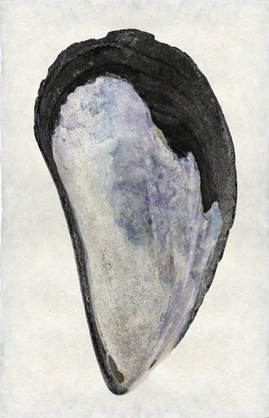 Mussel #1
