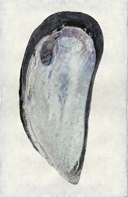 Mussel #2