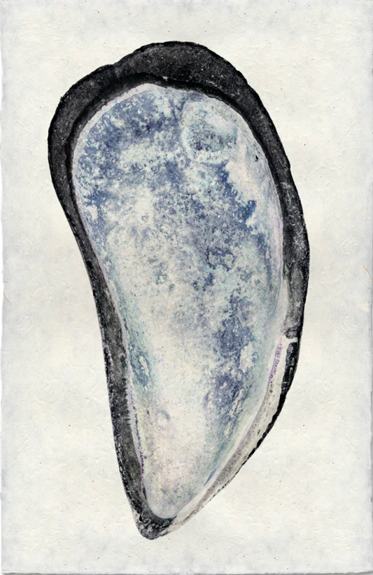 Mussel #3