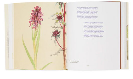 Hilma af Klint: What Stands Behind the Flowers – Hardcover