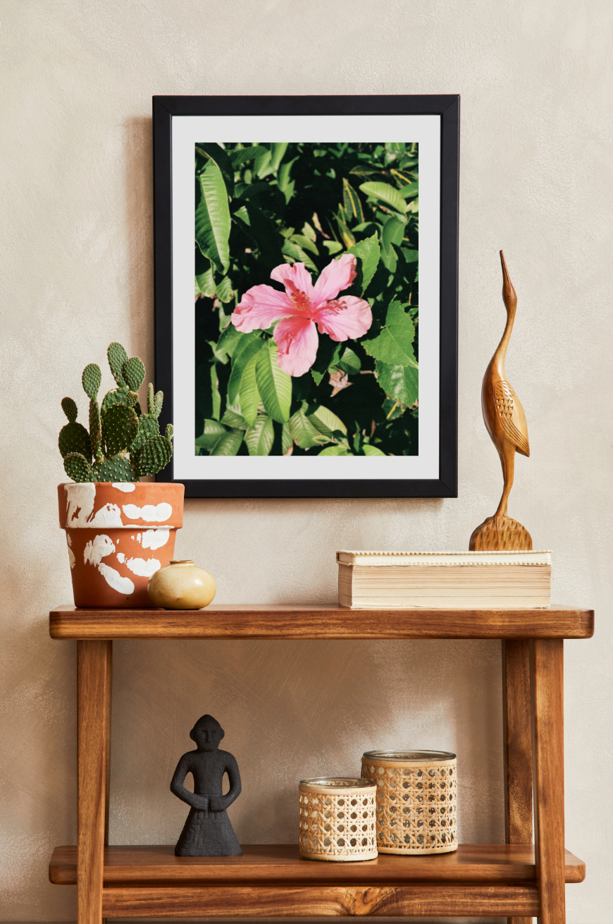 sweet hibiscus by Diamond Parks