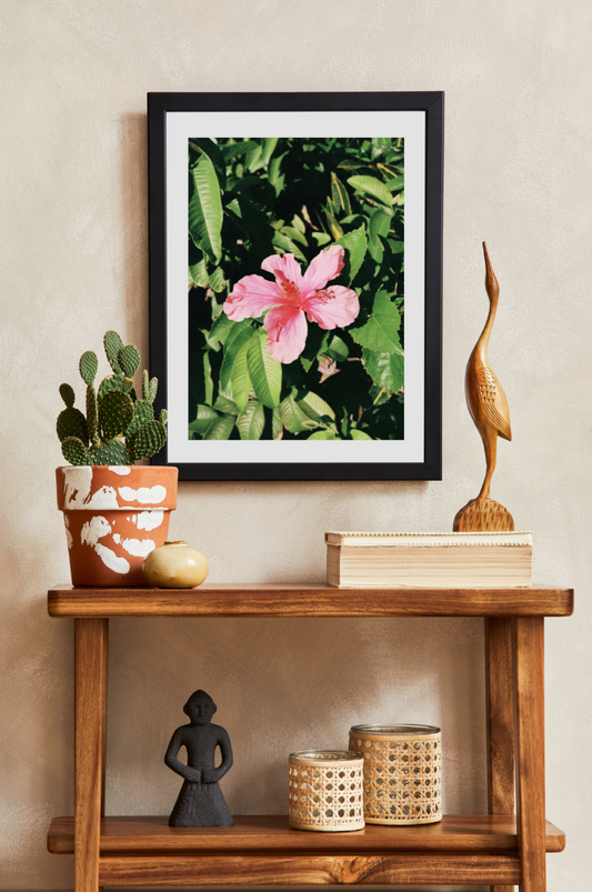 sweet hibiscus by Diamond Parks