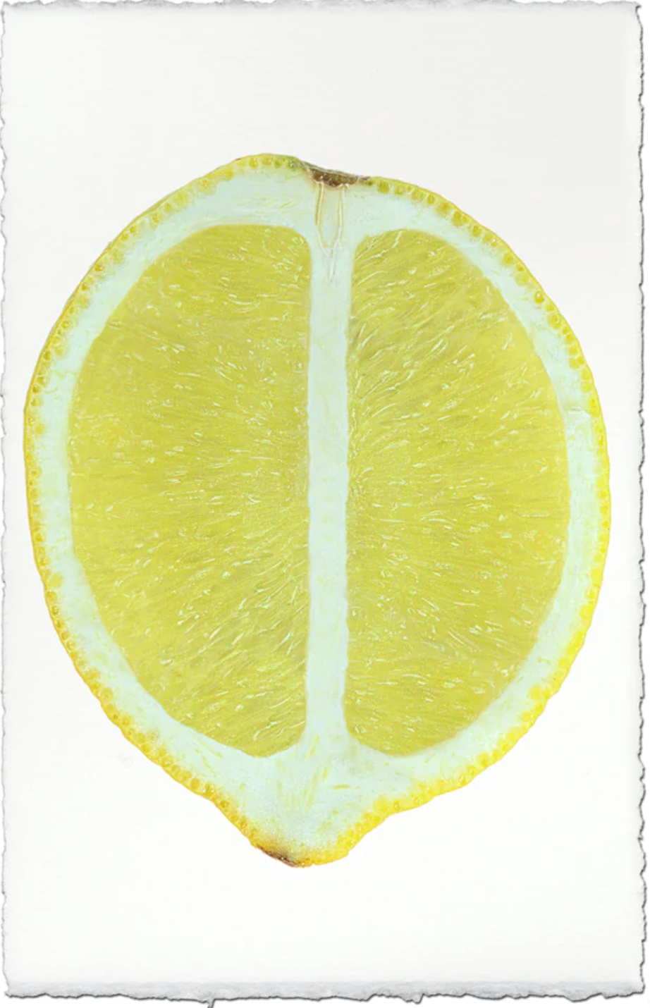LEMON HALF