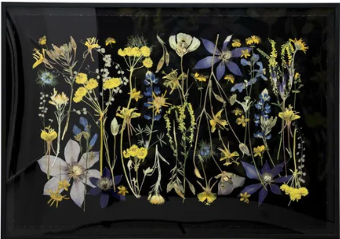 Night Meadow, Framed by Tricia Paoluccio