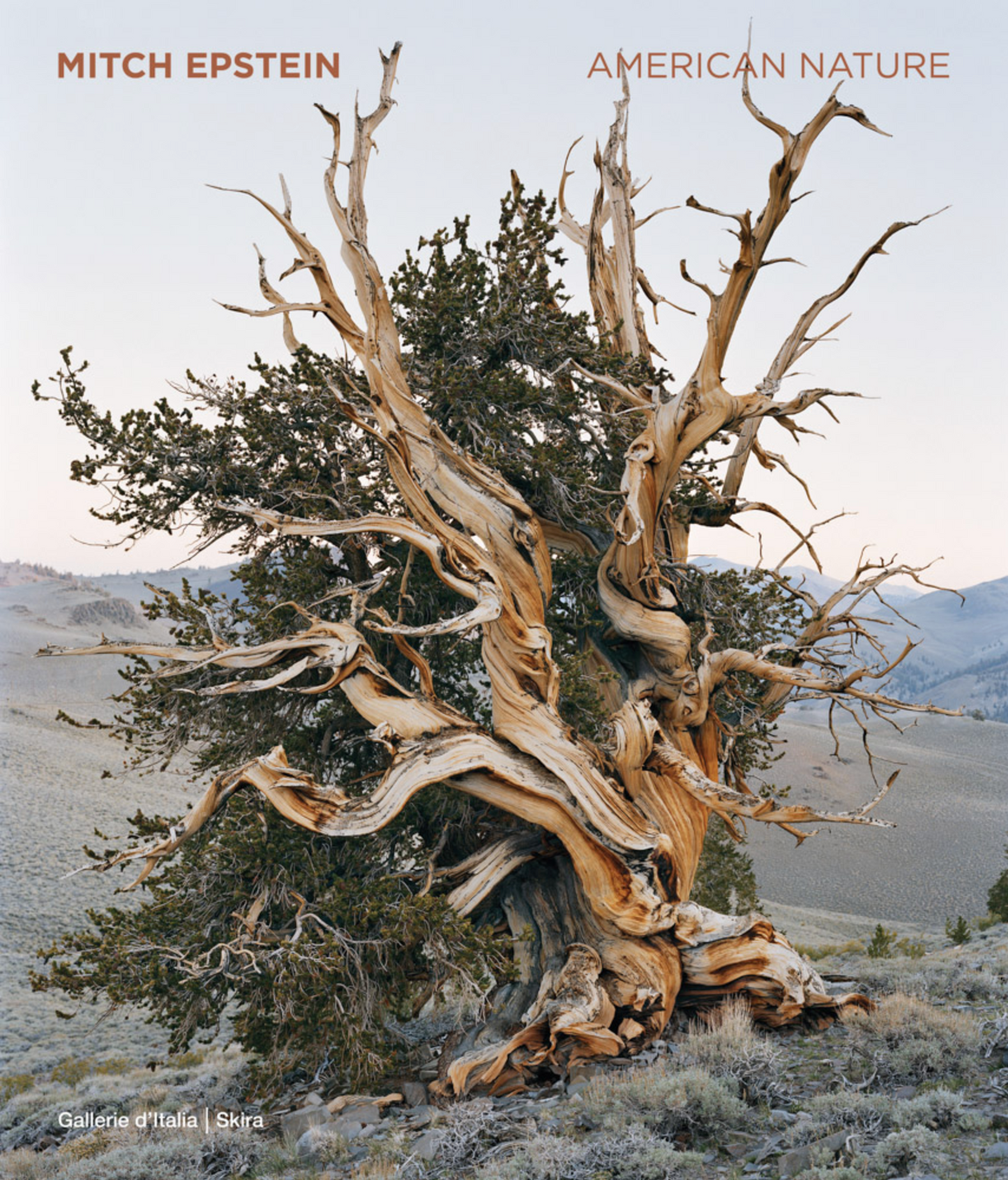 Mitch Epstein: American Nature
