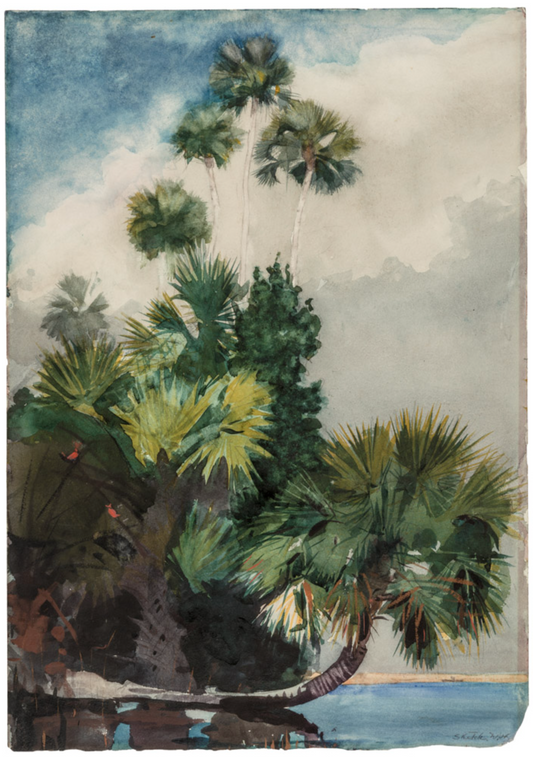 Winslow Homer in Watercolor