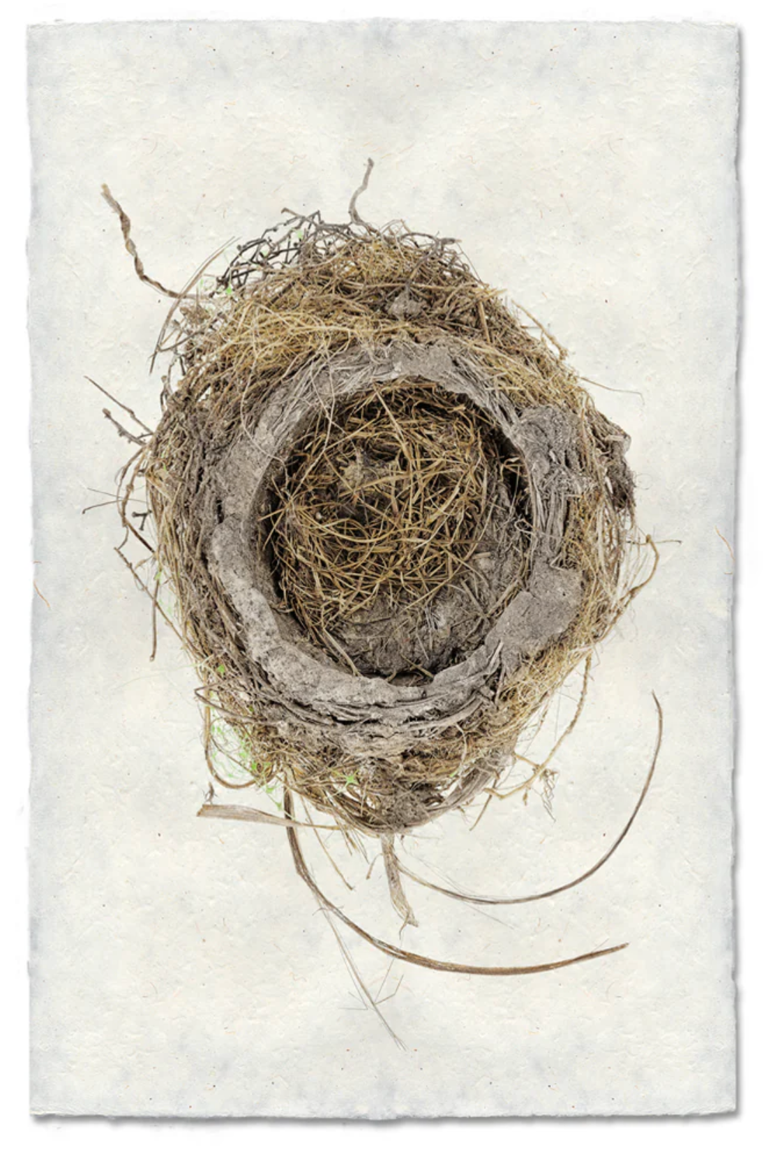 Robin's Nest