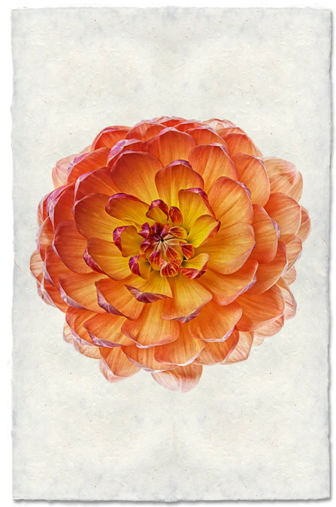Pam Howden