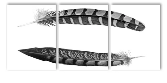 Two Curved Feathers Trilogy Triptych