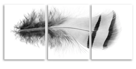 Feather #15 Trilogy Triptych