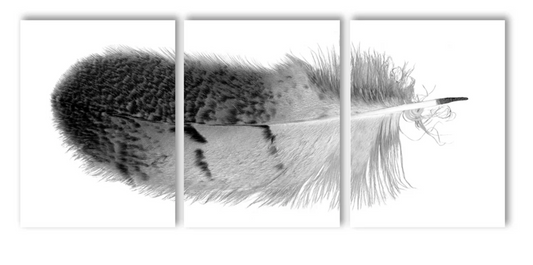 Feather #7 Trilogy Triptych